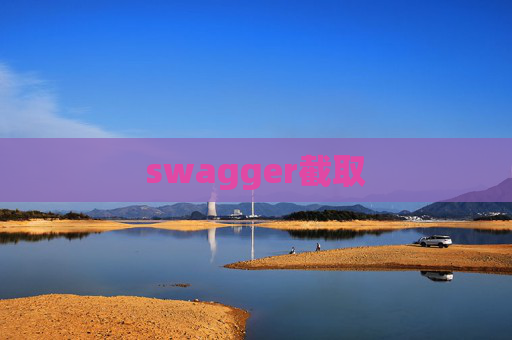 swagger截取